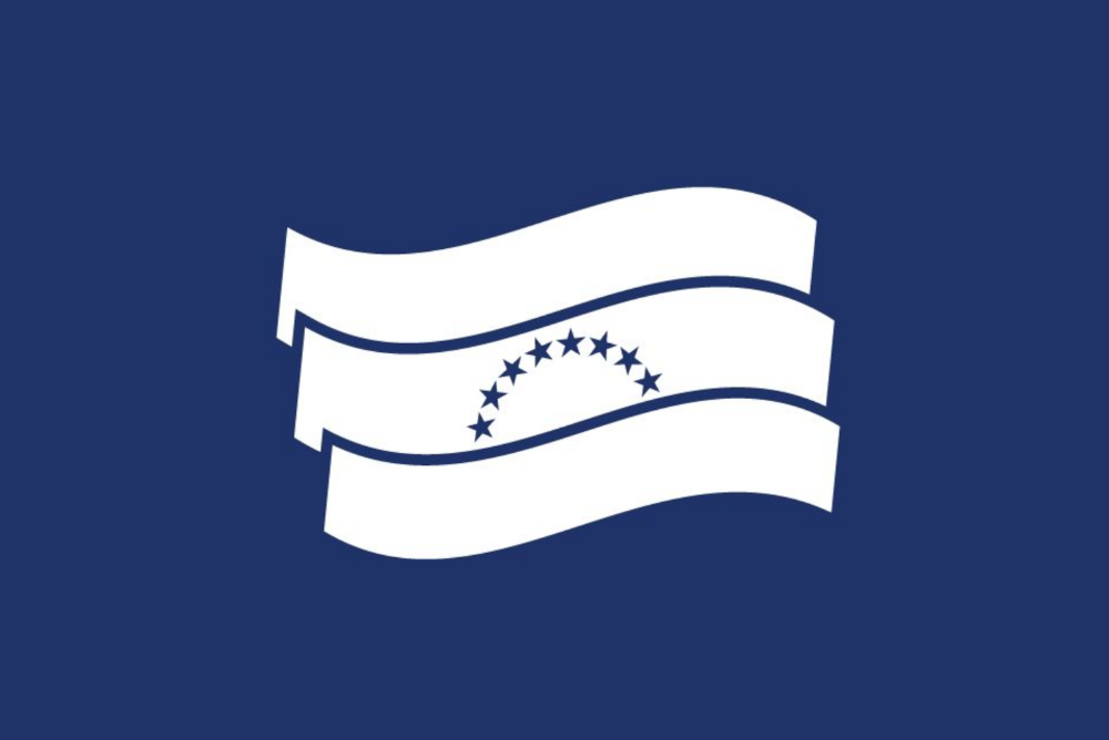 Bandera institucional